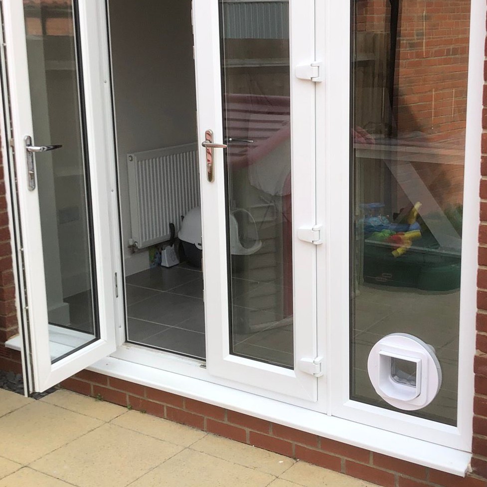 Cat flaps into a patio door