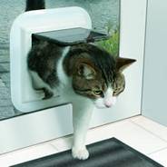 Cat flaps installed Newmarket