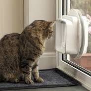 Install cat Flaps in Newmarket