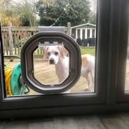 Dog Flap Fitter Newmarket